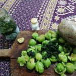 دلال آلوچه و میوه خوشمزه شمال - تصویر 2
