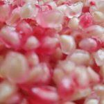 رب انار ترش شمال - تصویر 6
